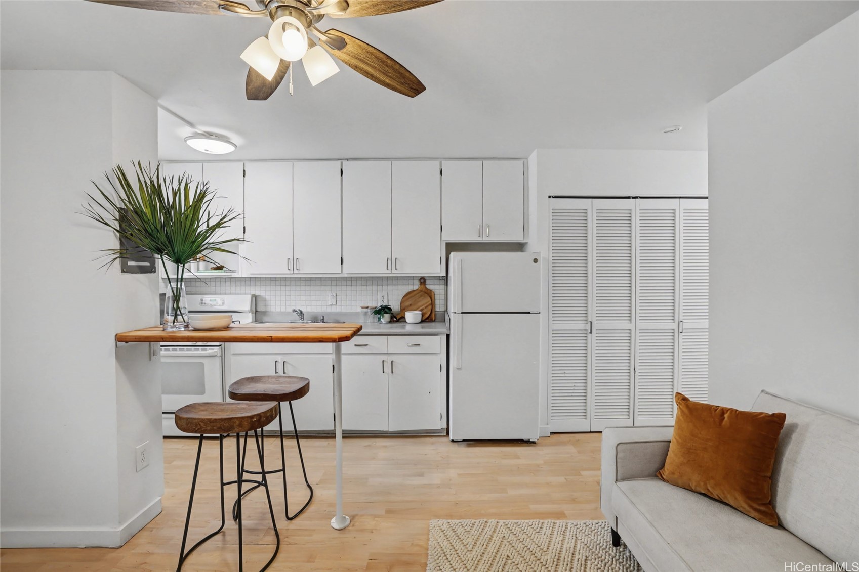 1036 Green Street 205