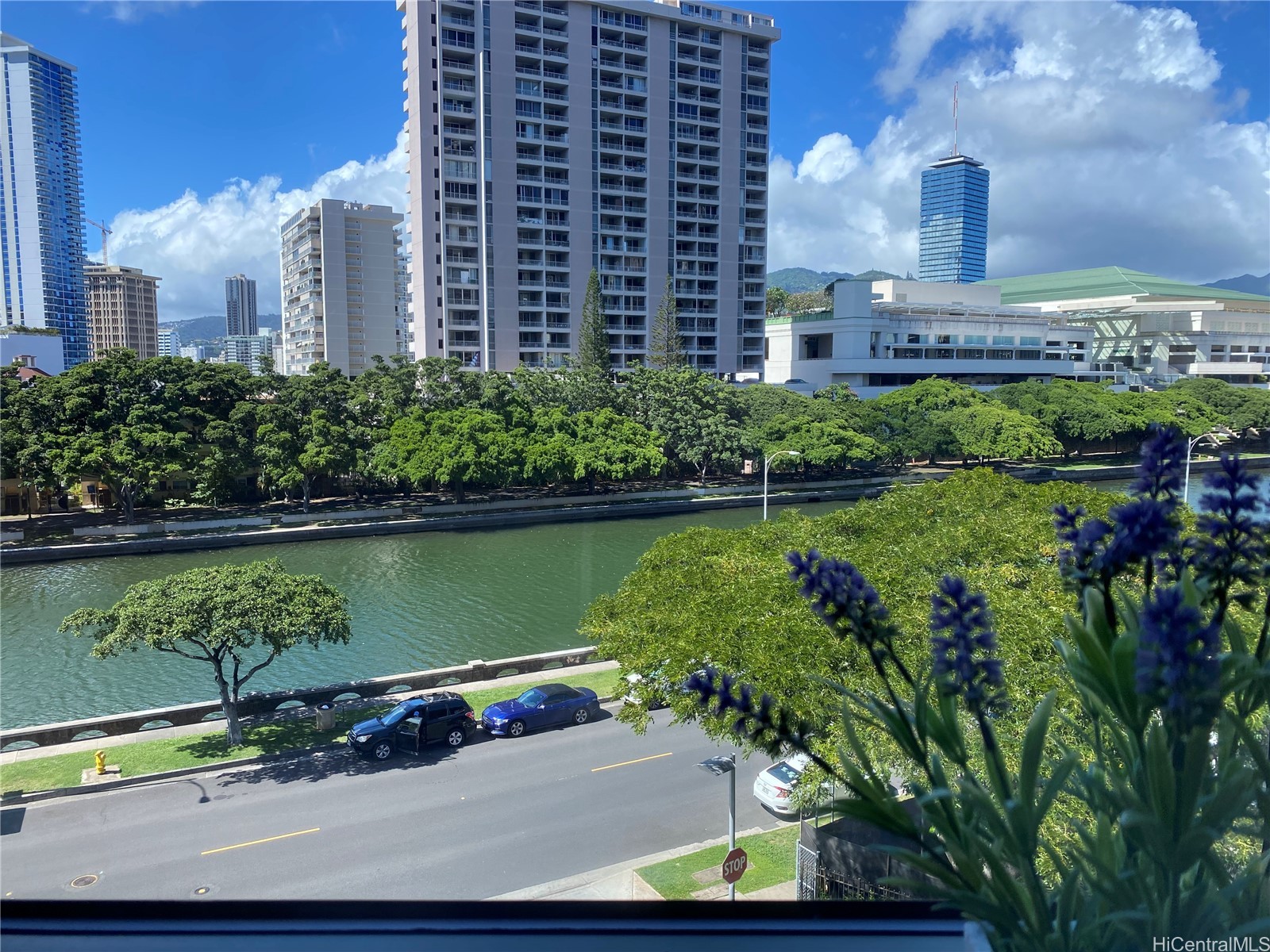 1551 Ala Wai Boulevard 401