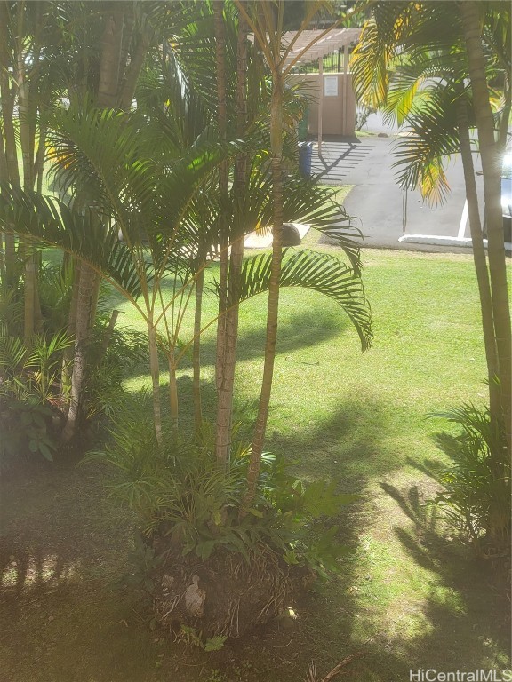 Makaha Valley Pltn Condominium