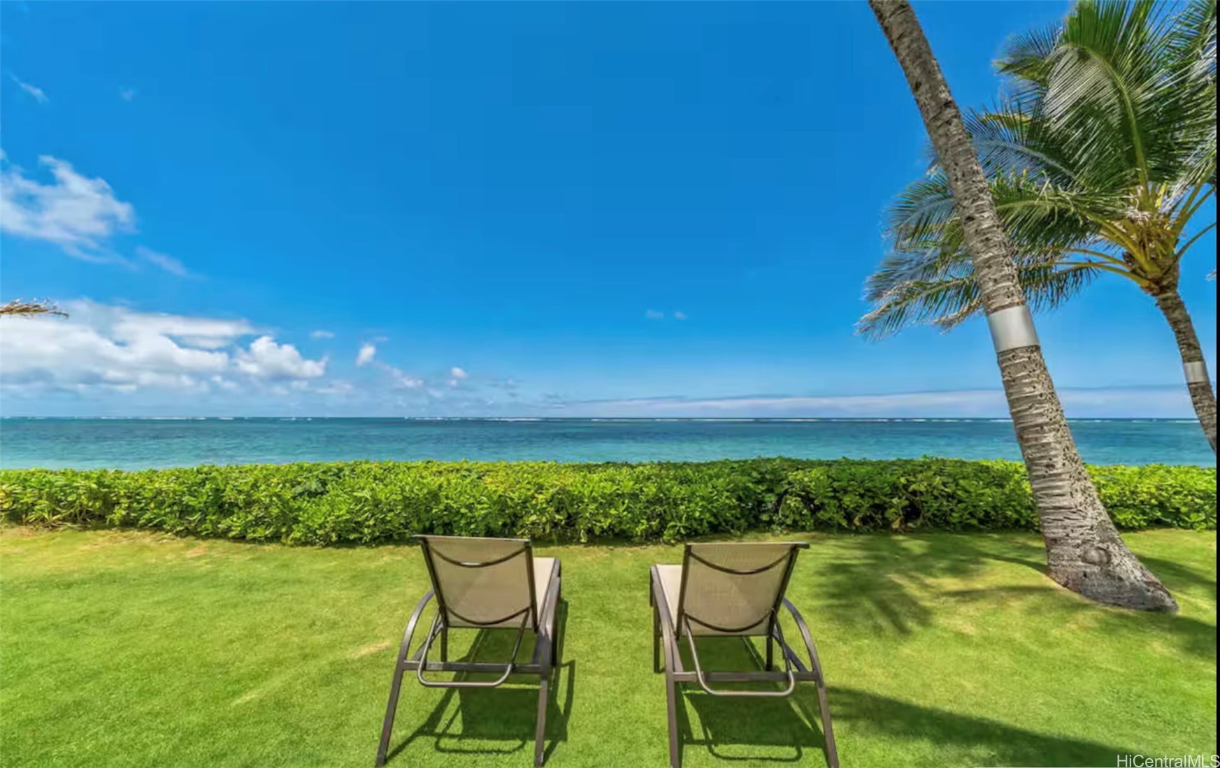 53-567 Kamehameha Highway 204