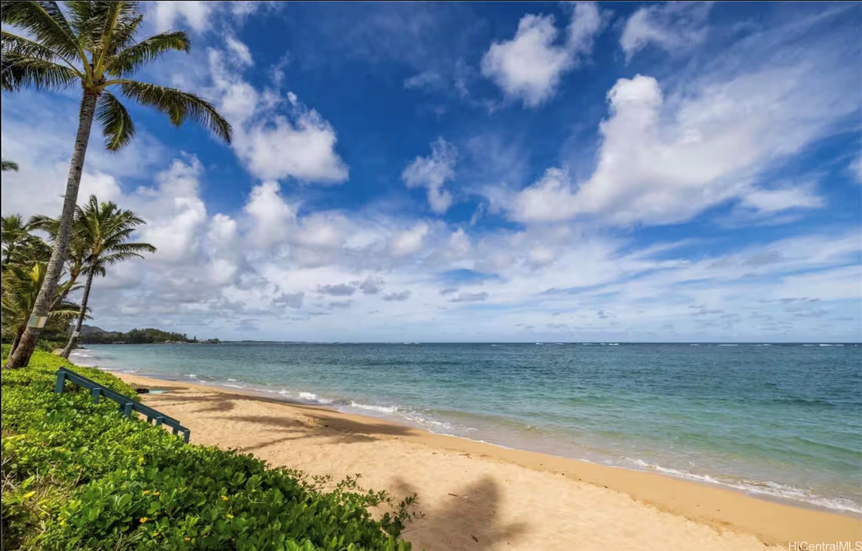 53-567 Kamehameha Highway 204