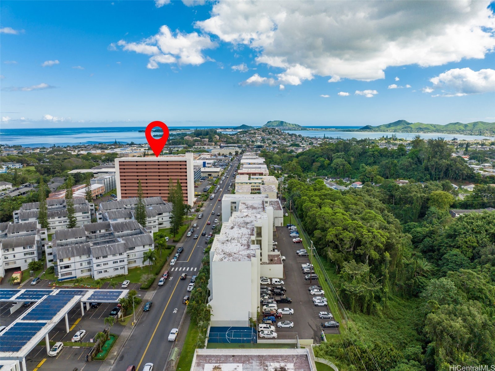 Hale Anaole Apts Condominium
