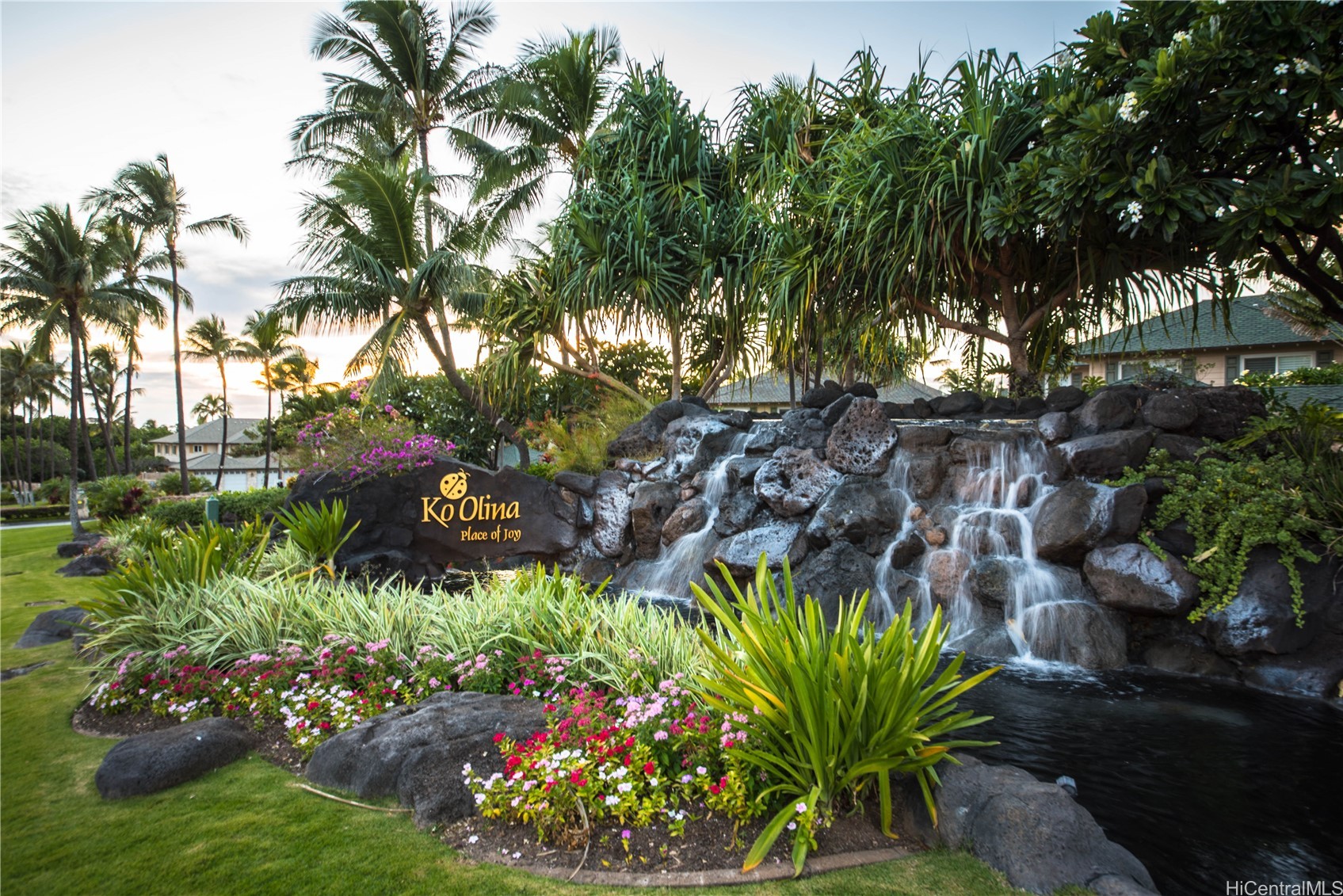 Coconut Plantation Condominium