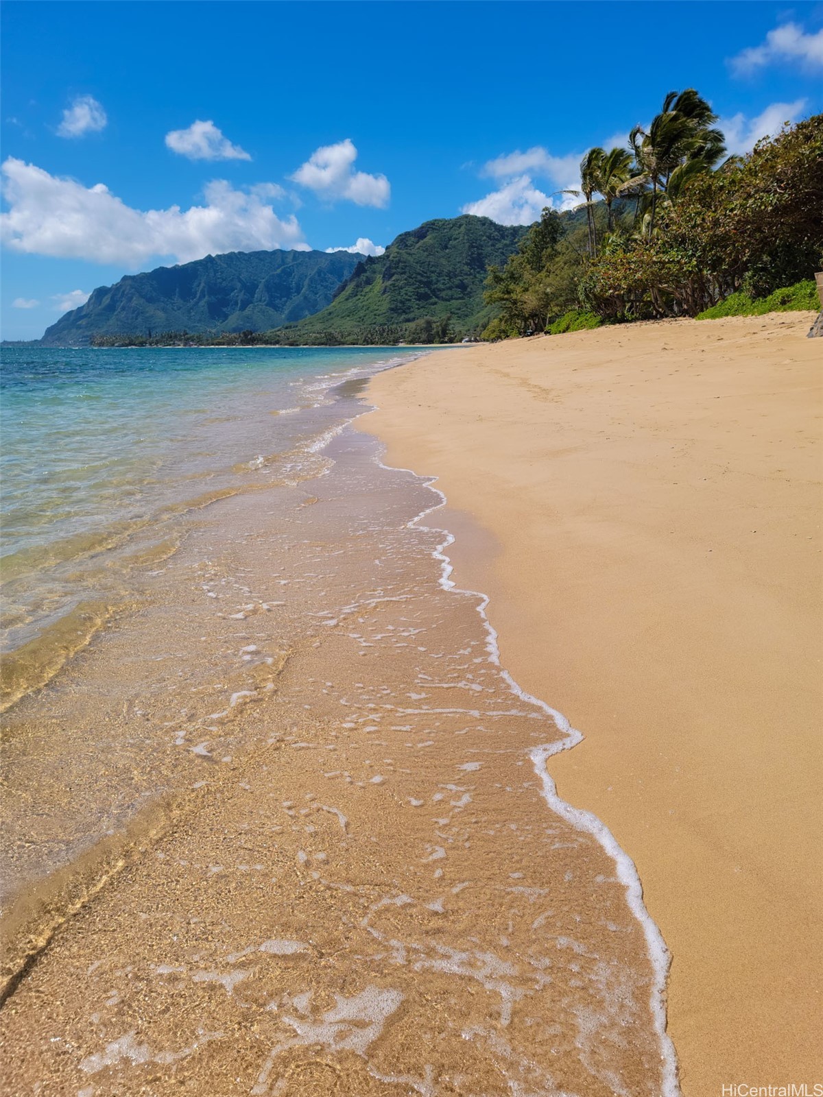 53-837 Kamehameha Highway