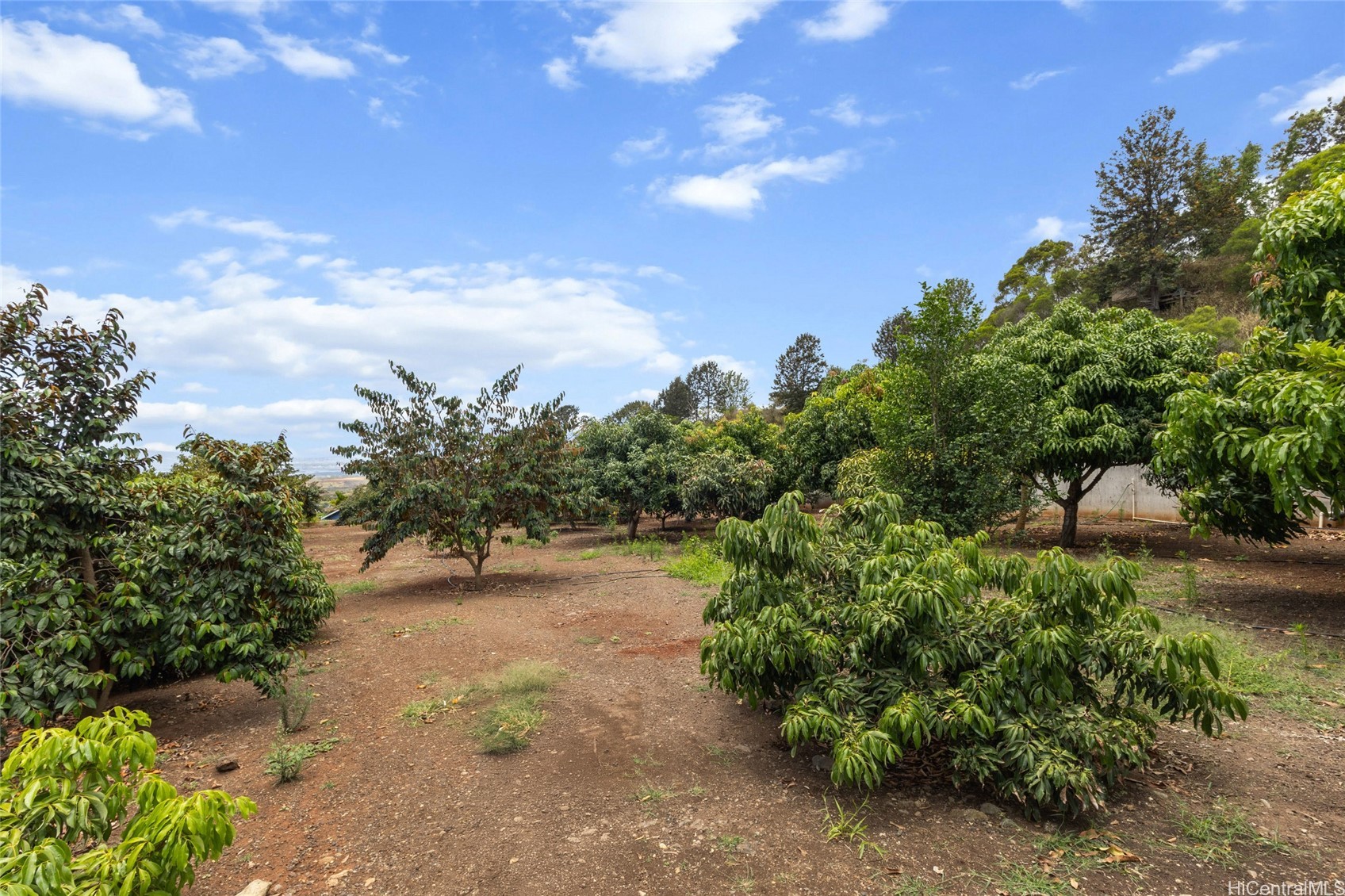 94-1100 Kunia Road 12A