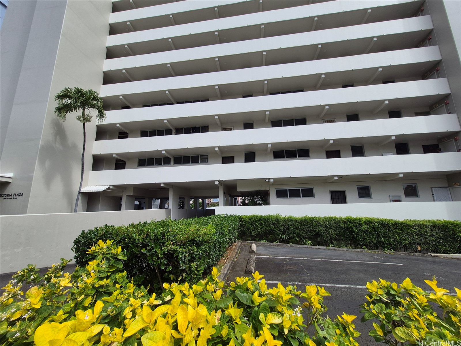 1441 Victoria Street 1103