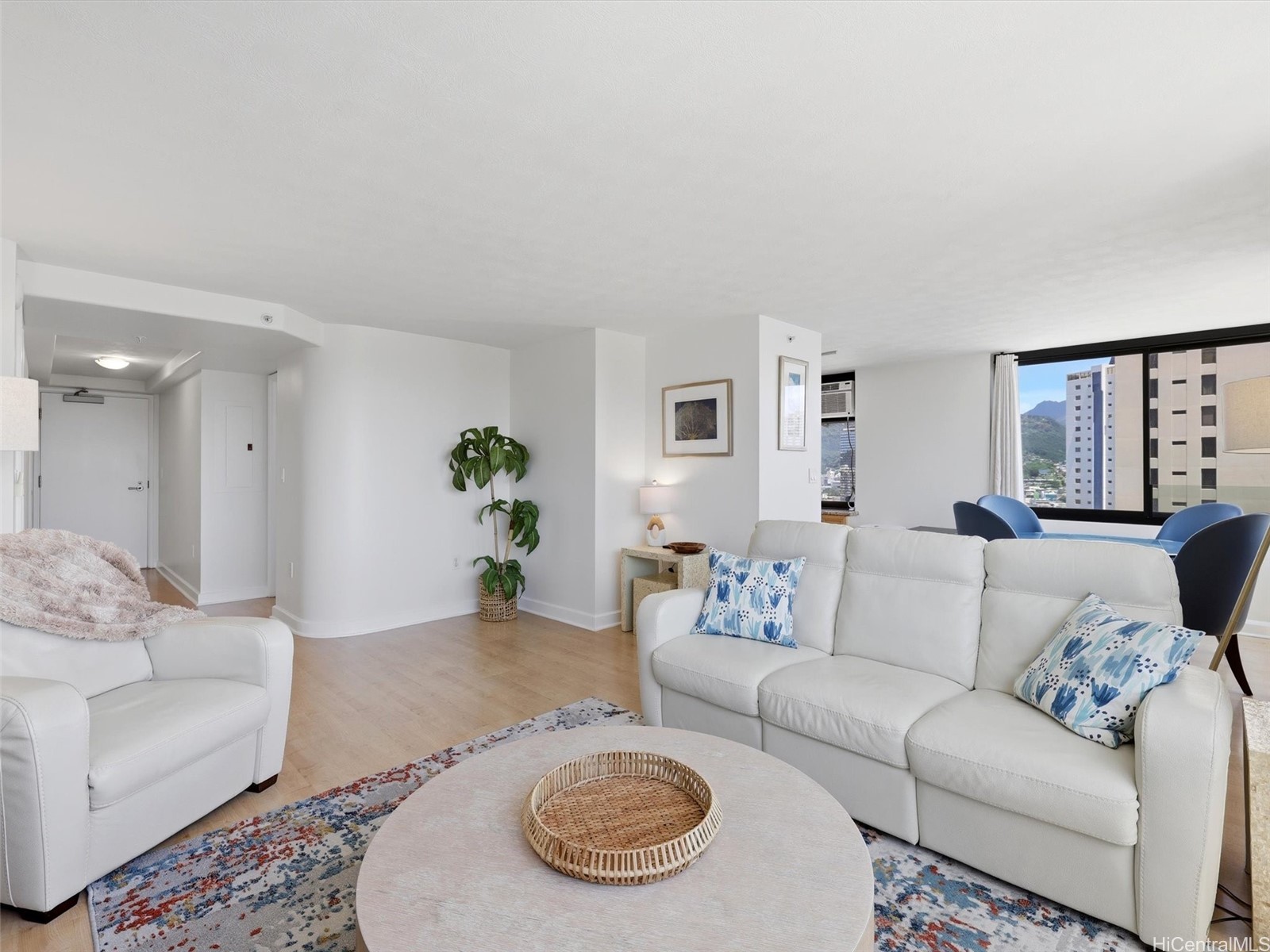 343 Hobron Lane 3102