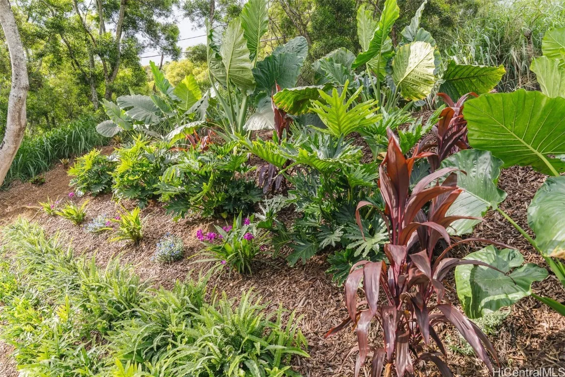 Kailua, Hawaii 96734, United States, 3 Bedrooms Bedrooms, ,2 BathroomsBathrooms,Residential,Pending,82671