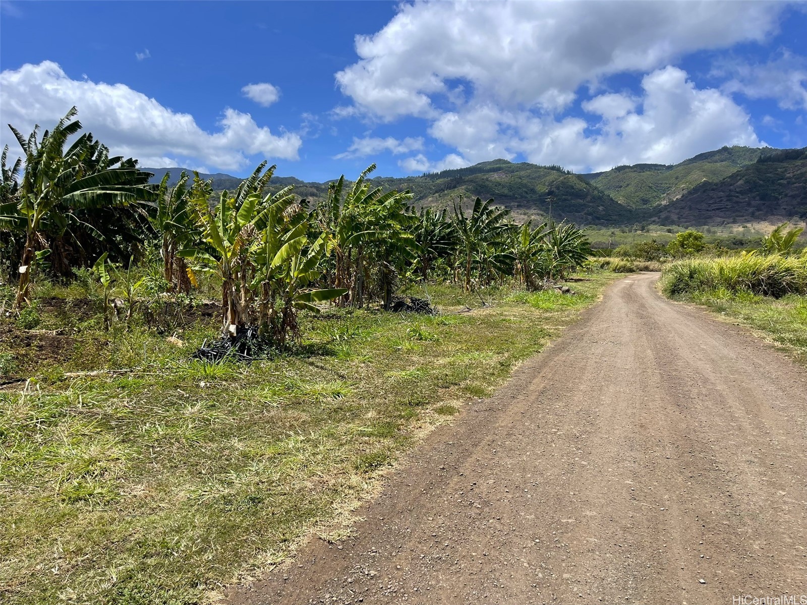 68-670 Farrington Highway 11