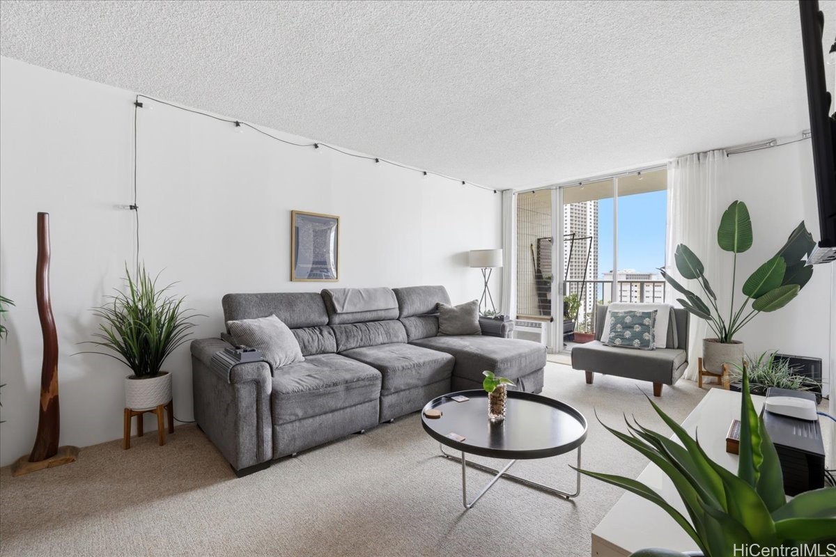 2452 Tusitala Street 1802