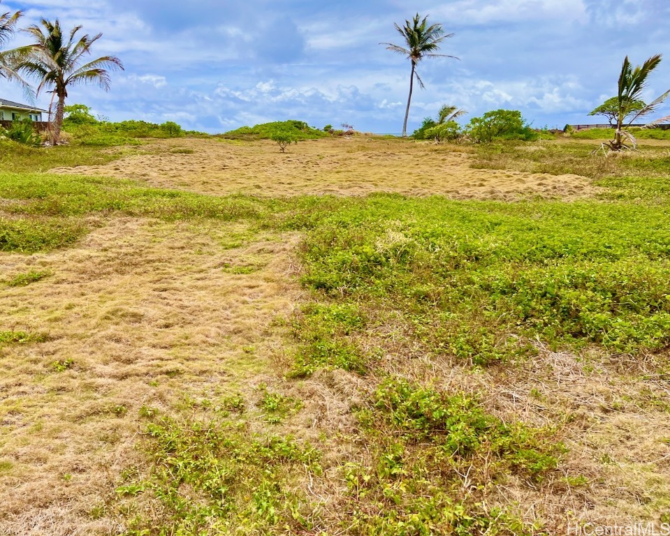 Laie Land