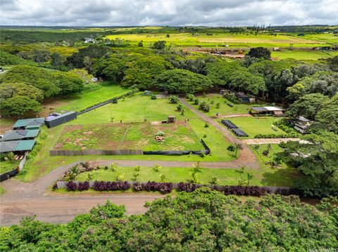00 Kamehameha Highway B1 Haleiwa HI 96712