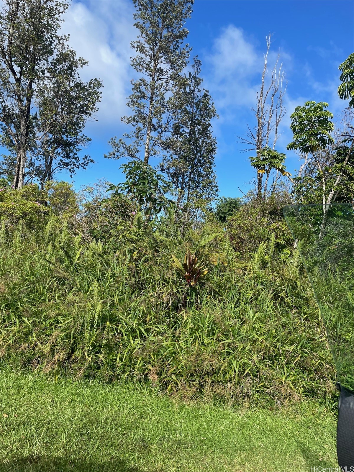 Pahoa Land