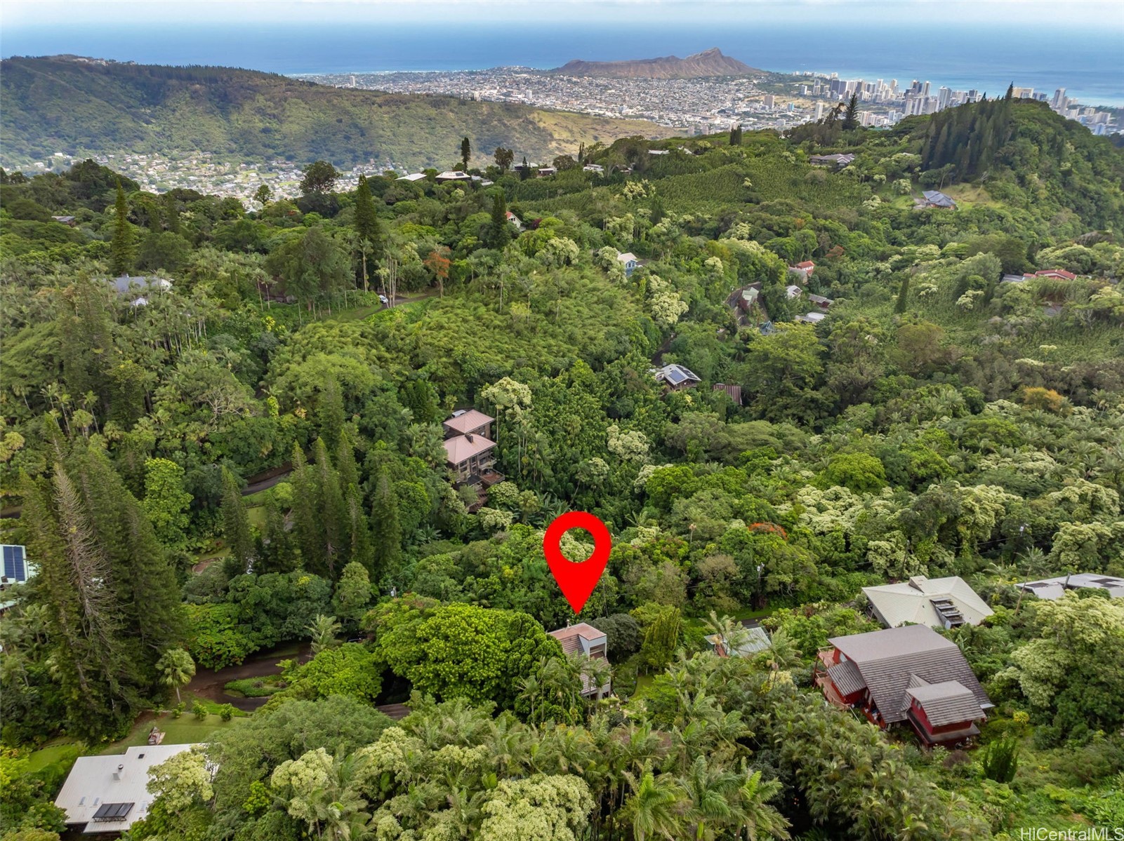 156 Forest Ridge Way