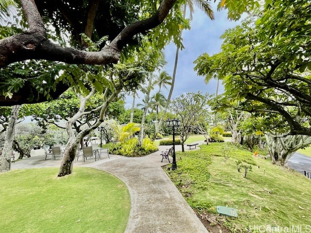 Mt Terrace Residential Lease