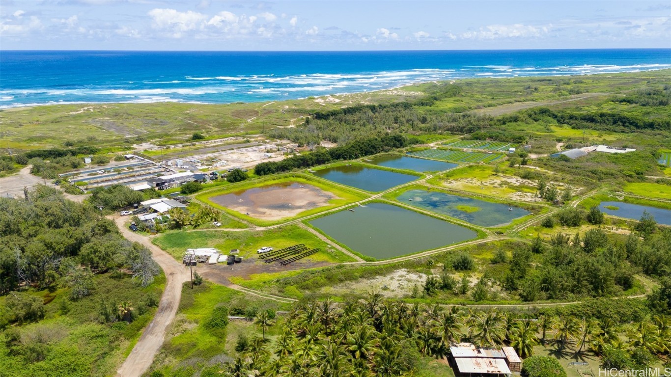 56-1081 Kamehameha Highway