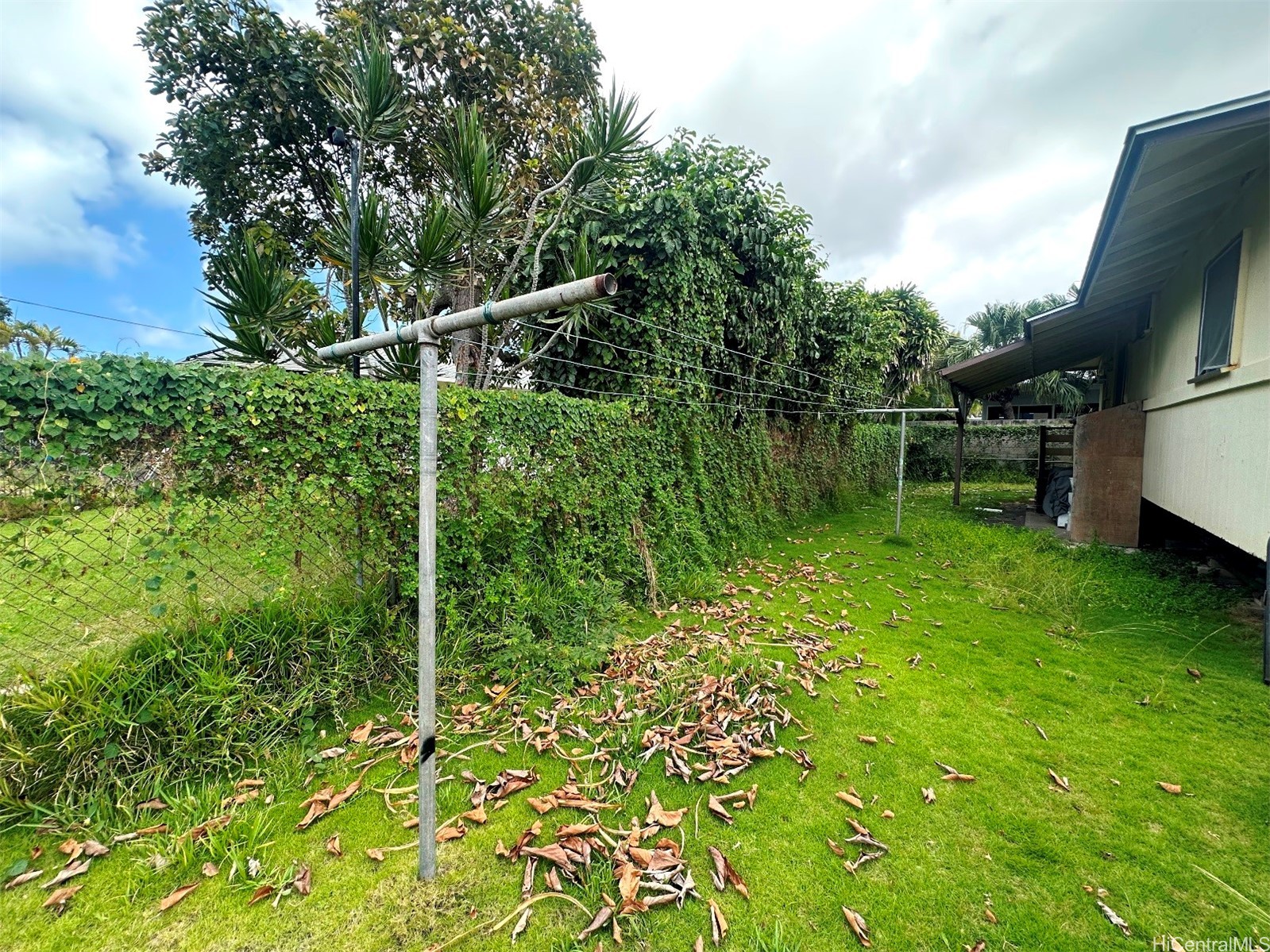 Kailua Residential Lease