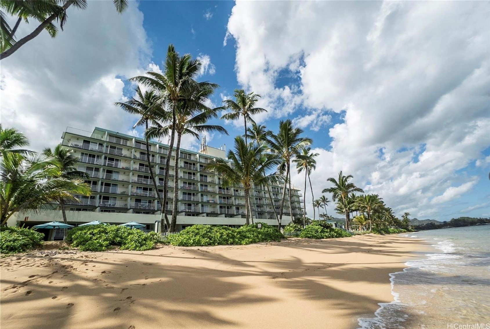 53-567 Kamehameha Highway 404