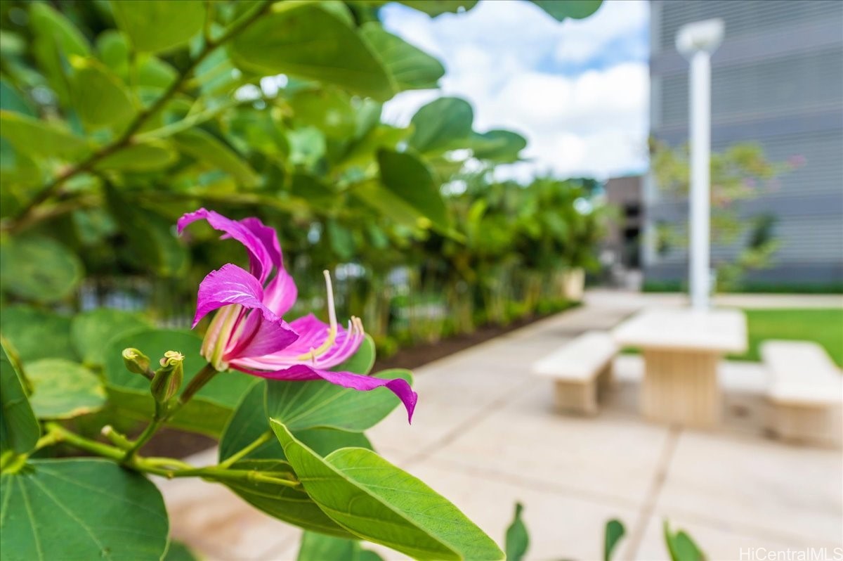 Pacifica Honolulu Condominium