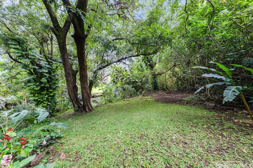 3242 Pelekane Drive