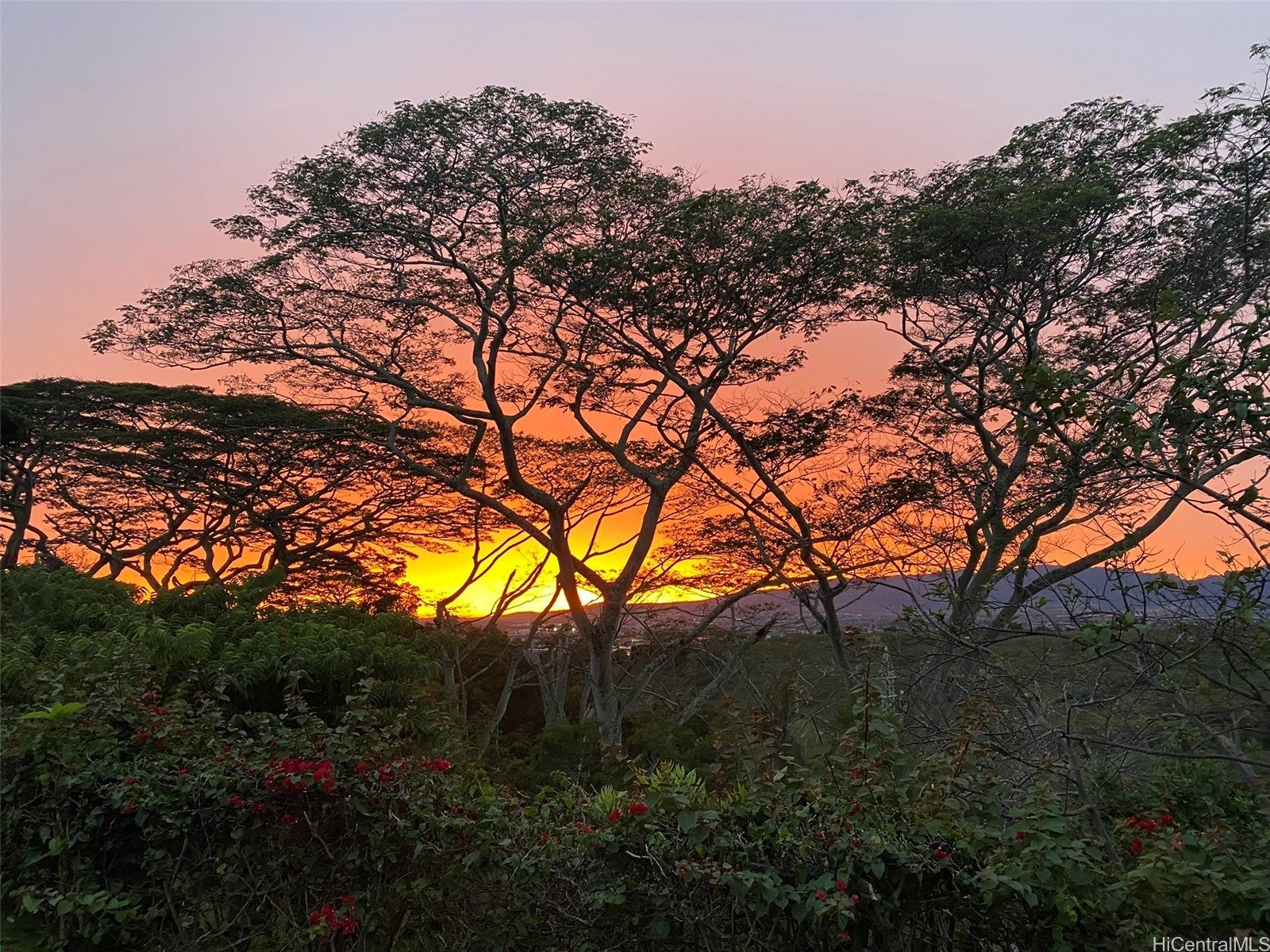 98-1750 Kaahumanu Street 48A