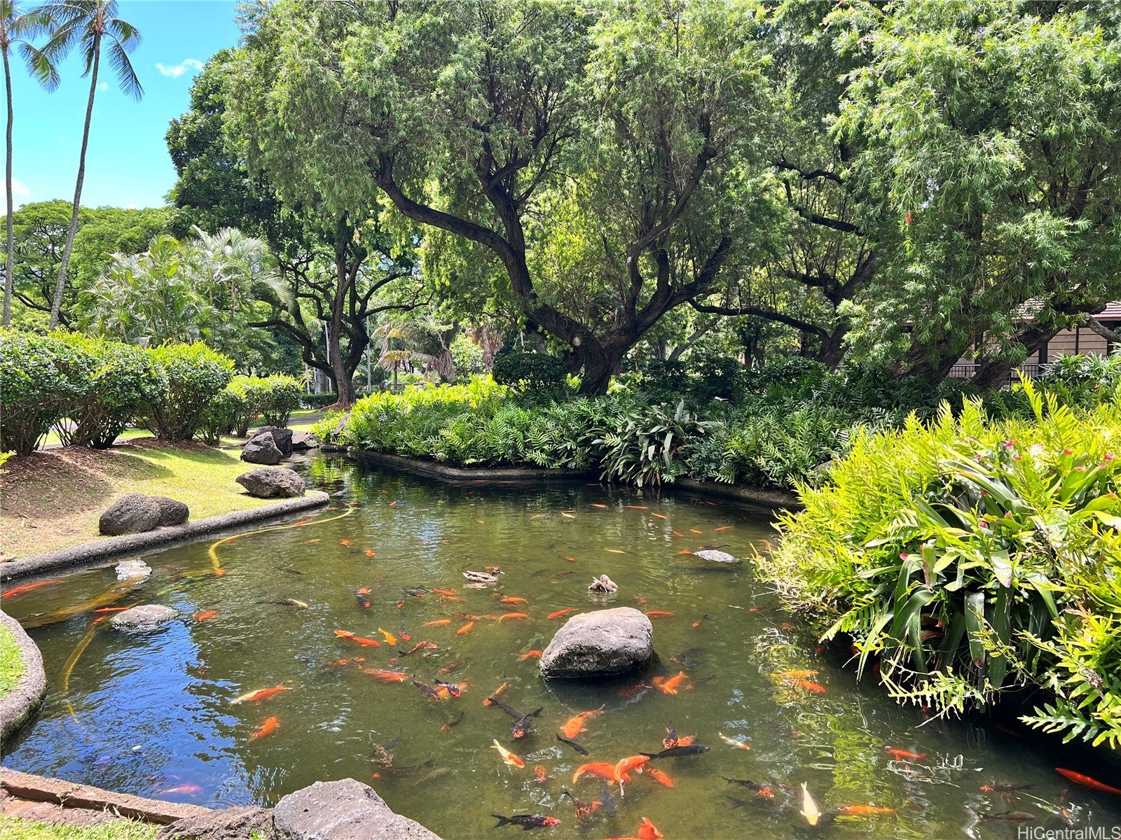 1511 Nuuanu Avenue 828