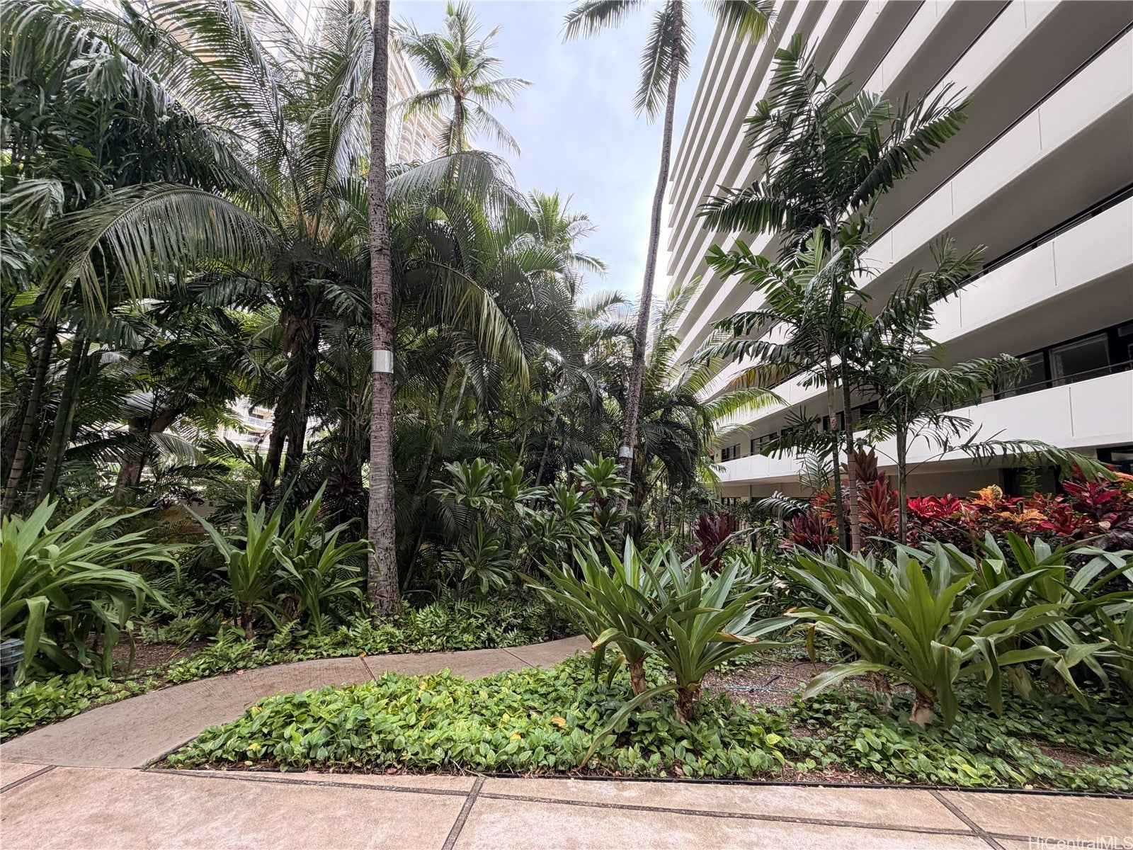 425 Ena Road #607B