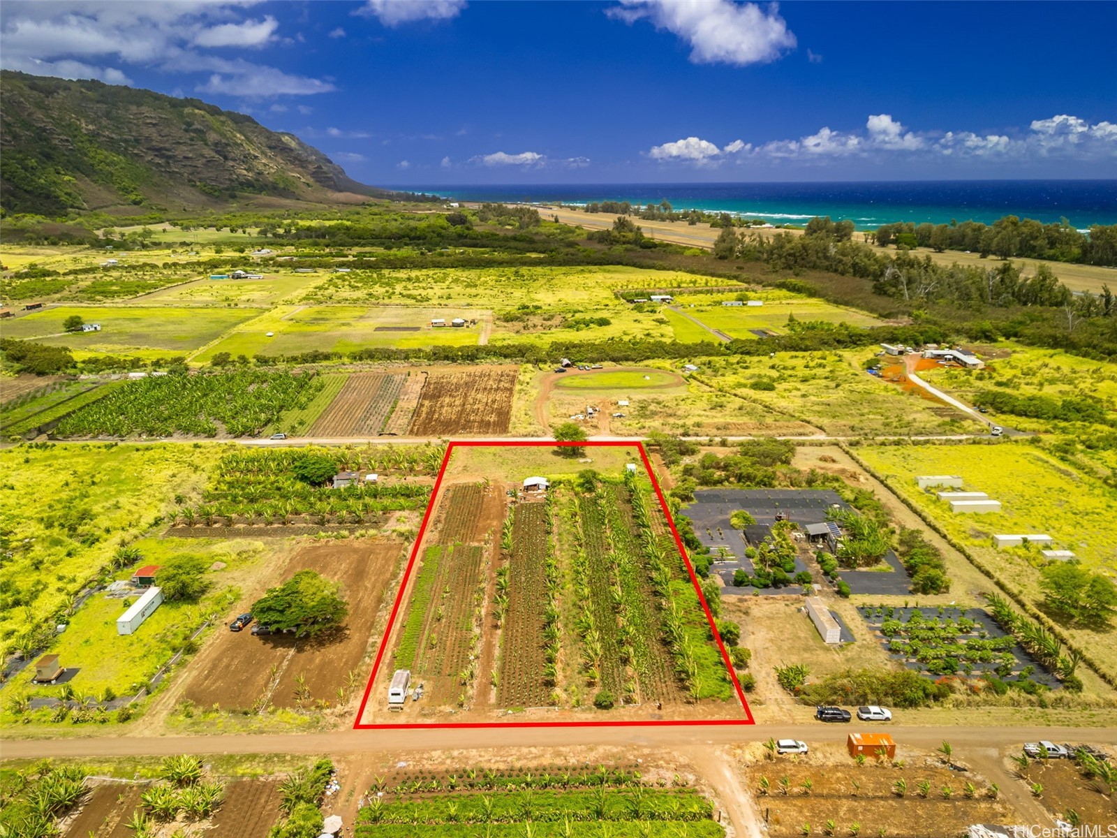 Waialua Land