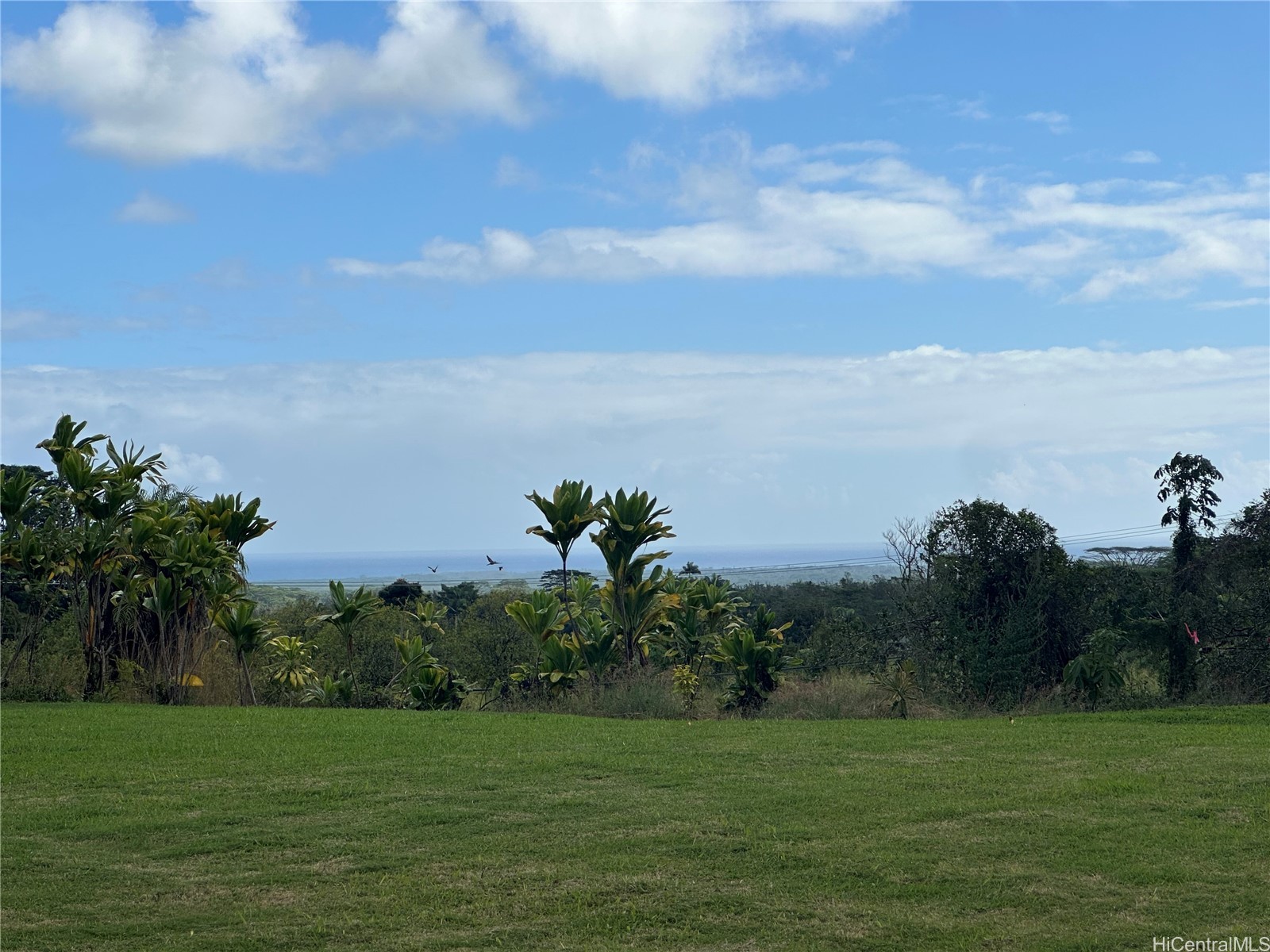 17-303 Pilikino Road