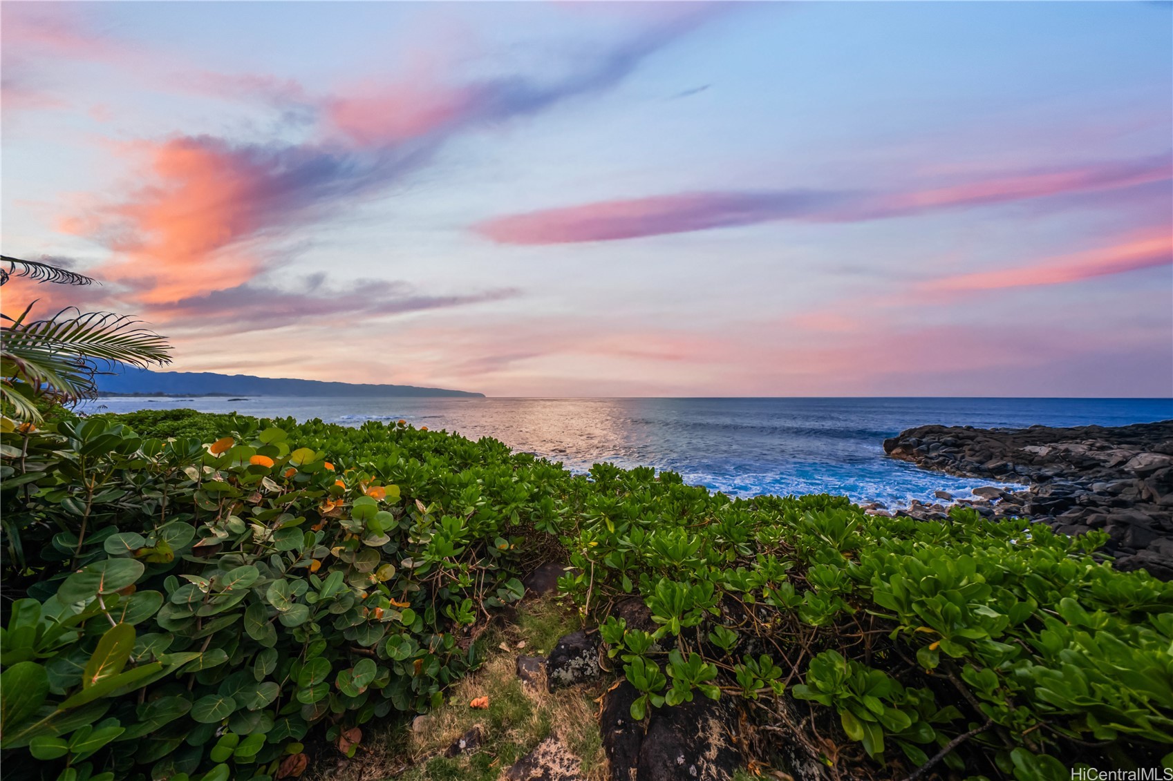 59-781 Kamehameha Highway 1