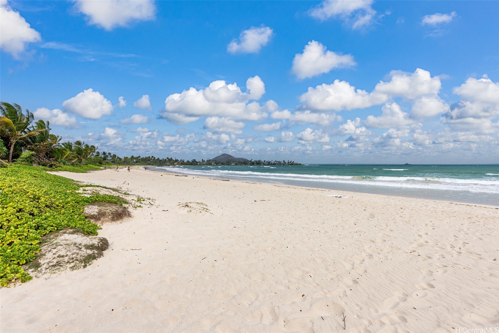 824-A N Kalaheo Avenue