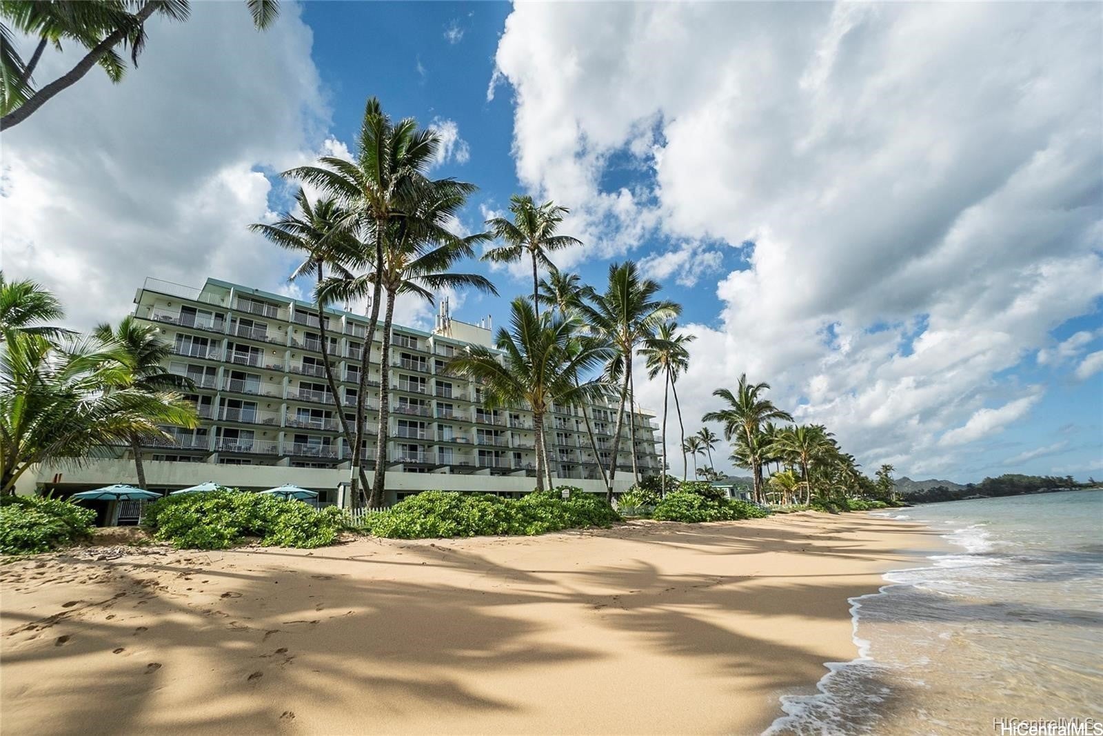 53-567 Kamehameha Highway 7