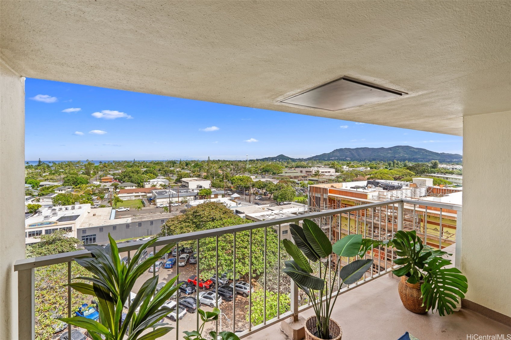 14 Aulike Street 904