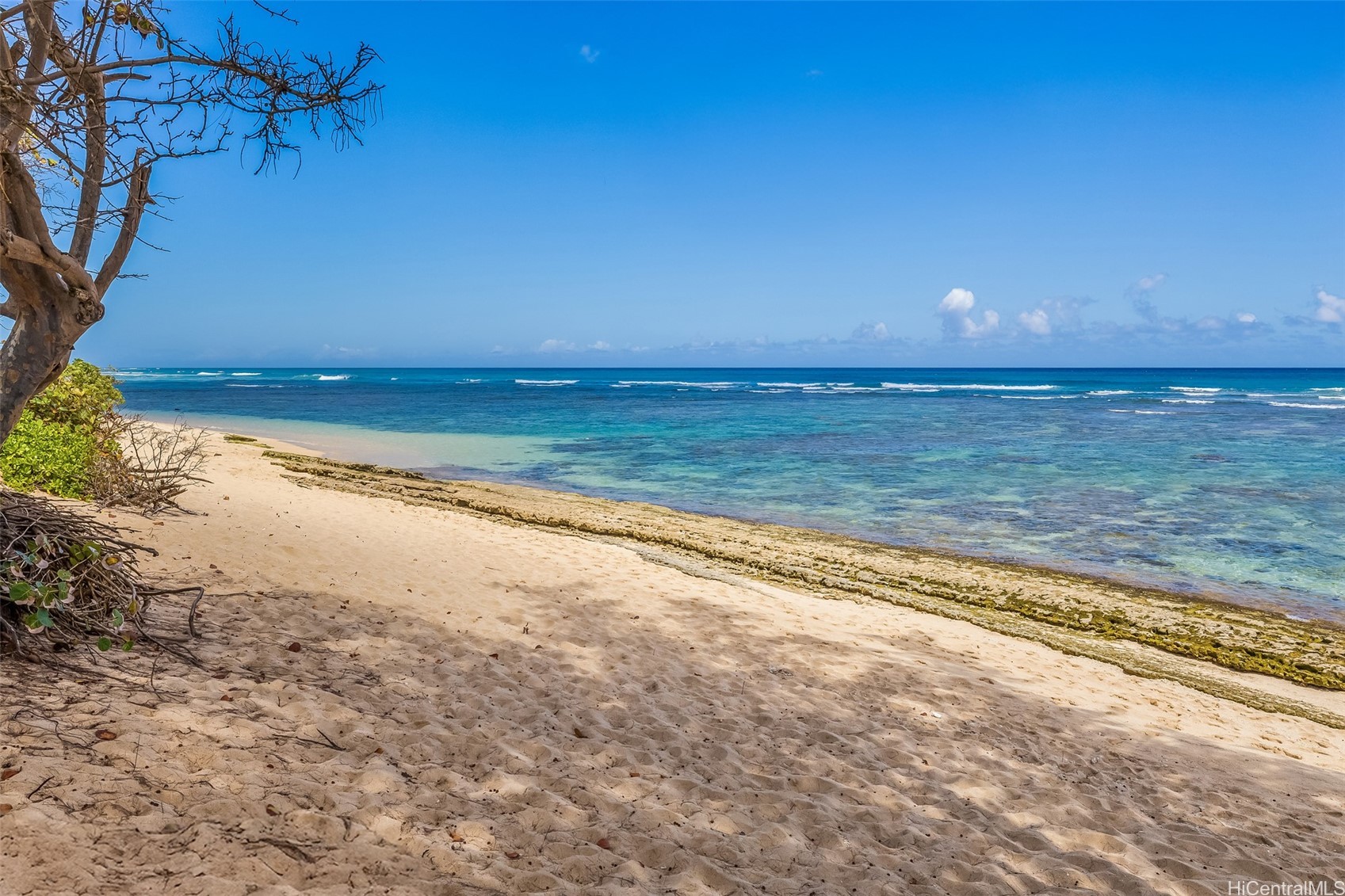 Waialua Land
