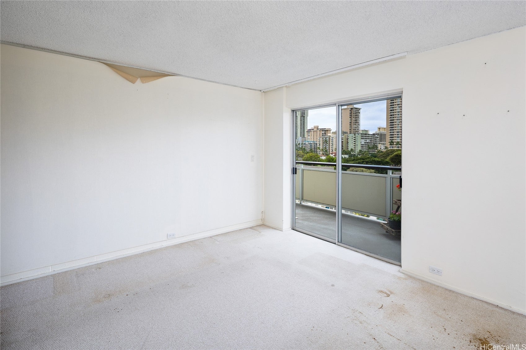 509 University Avenue 504
