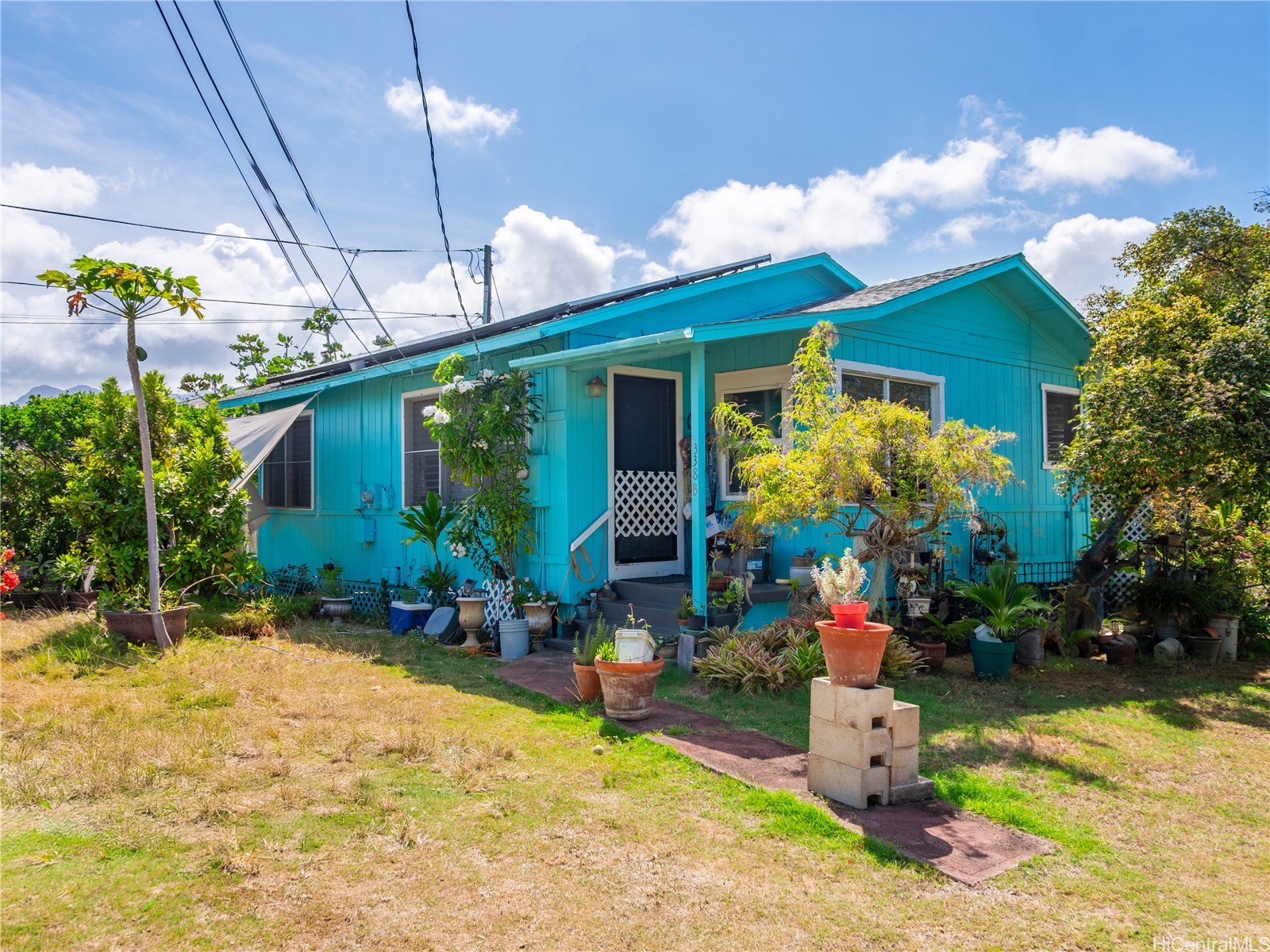 338 Manono Street B