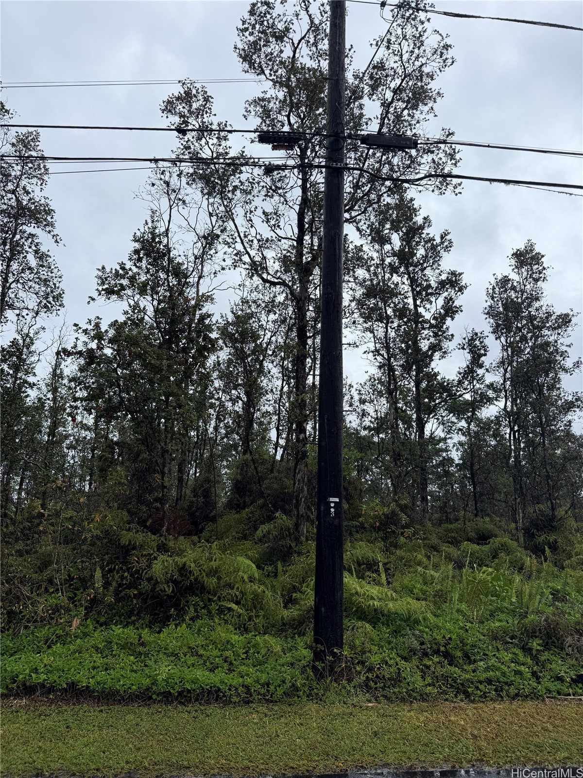 16-2045 Gardenia Drive