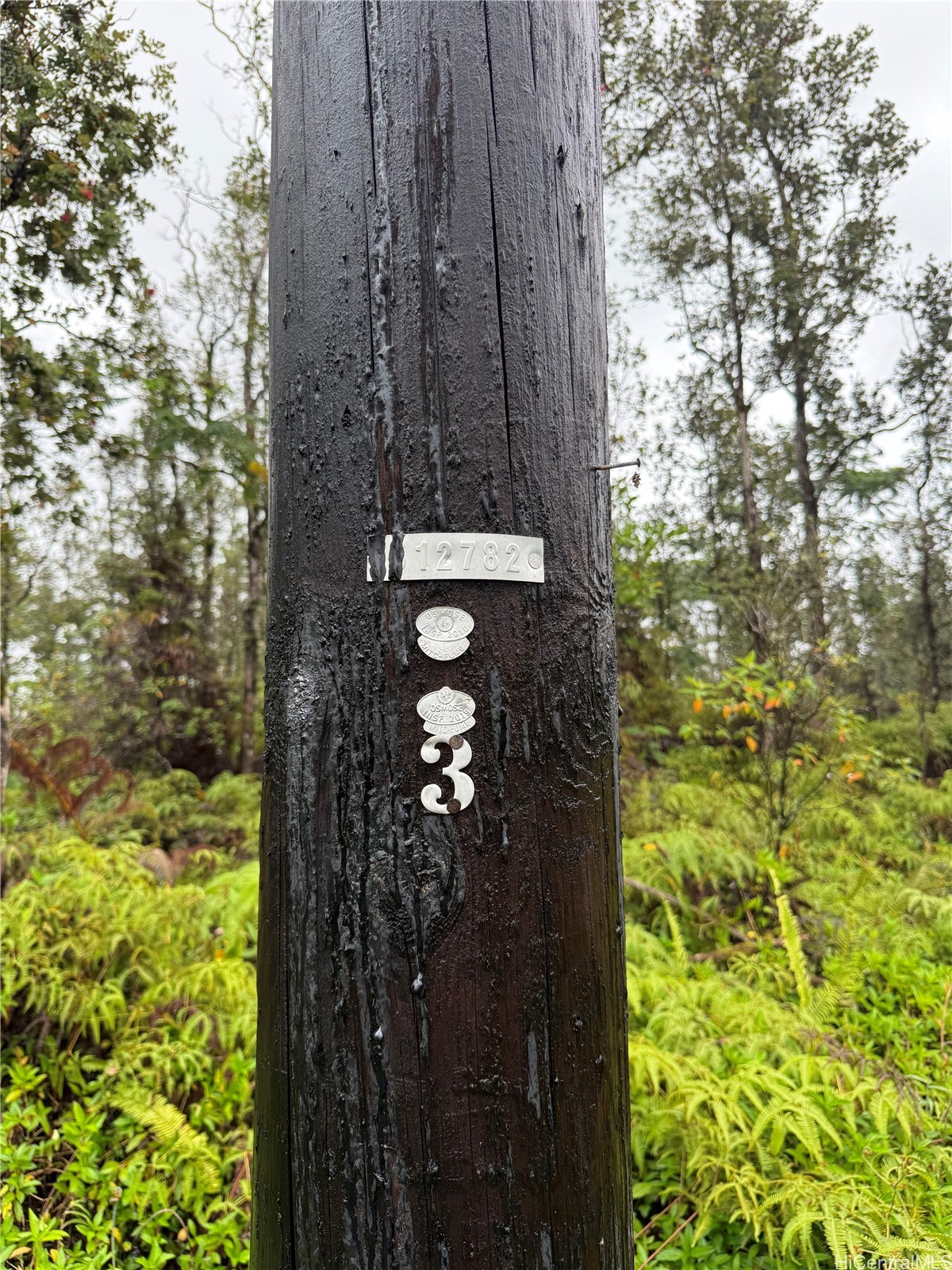 16-2045 Gardenia Drive