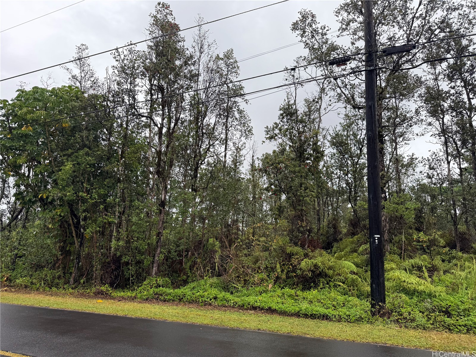 16-2045 Gardenia Drive