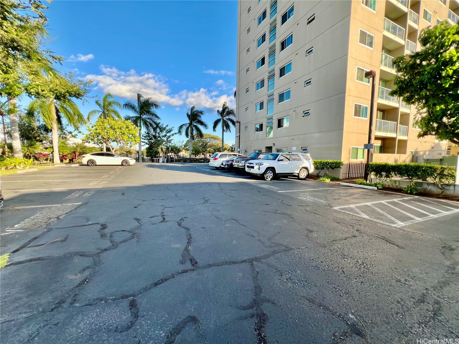 Plantation Town Apartments Condominium