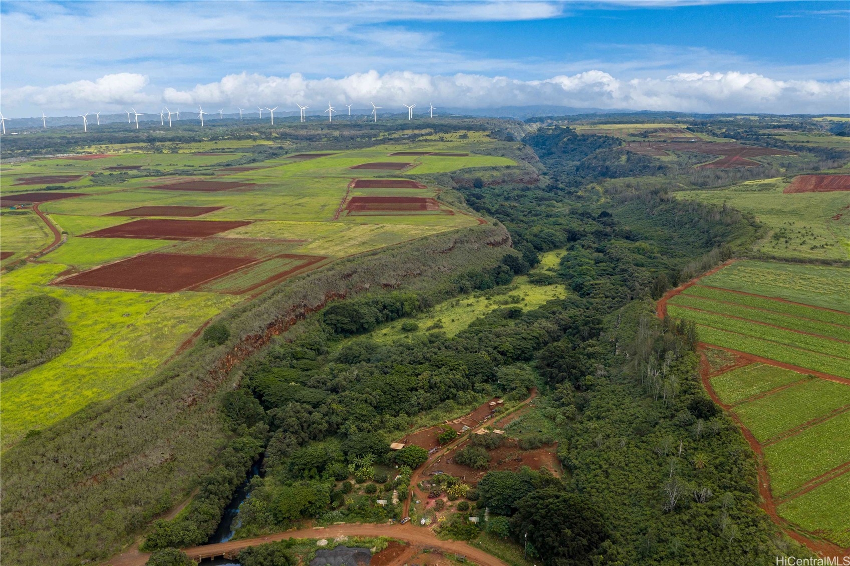 Haleiwa Land