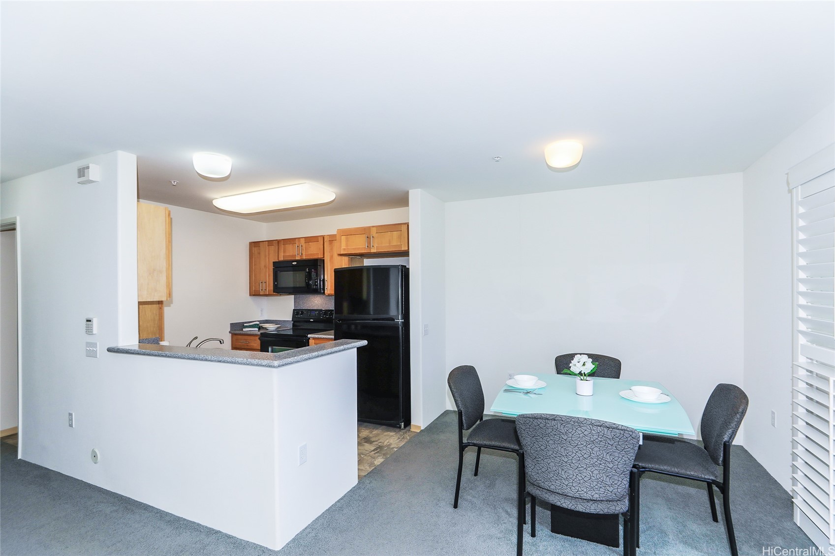 91-1025 Kamaaha Avenue 705