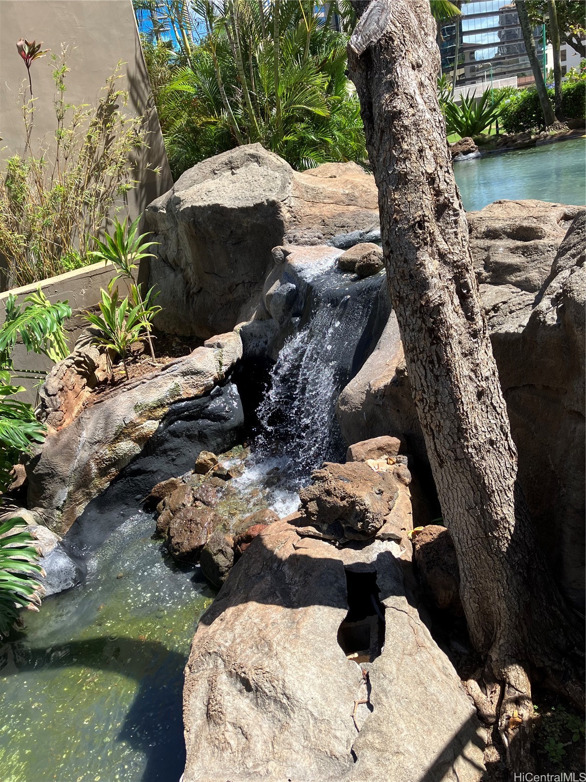 Kukui Plaza Condominium
