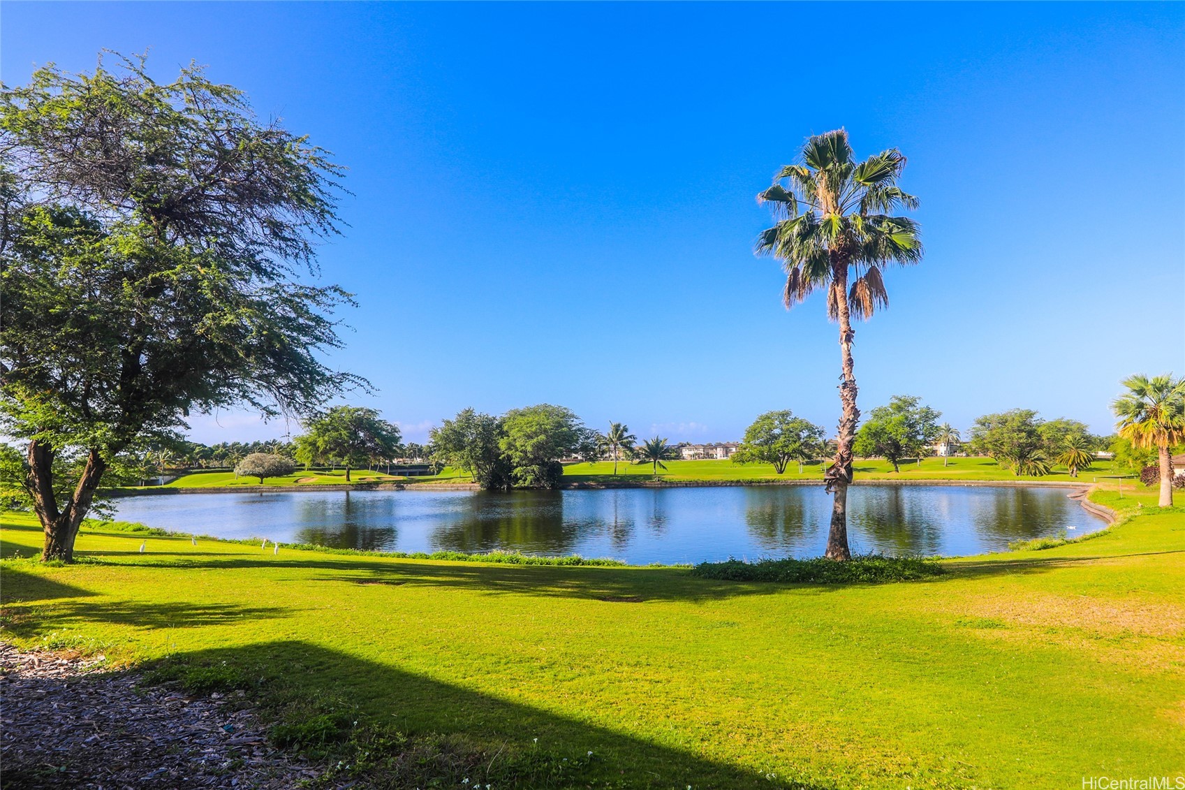 91-2077 Kaioli Street 1002