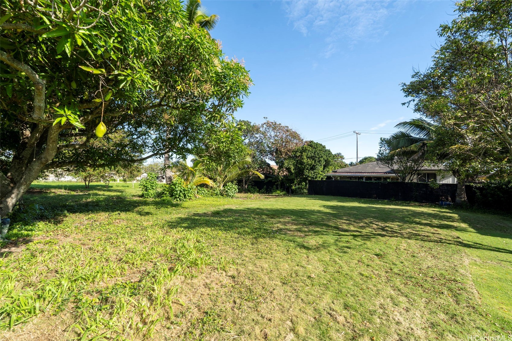 221 Kihapai Street 3