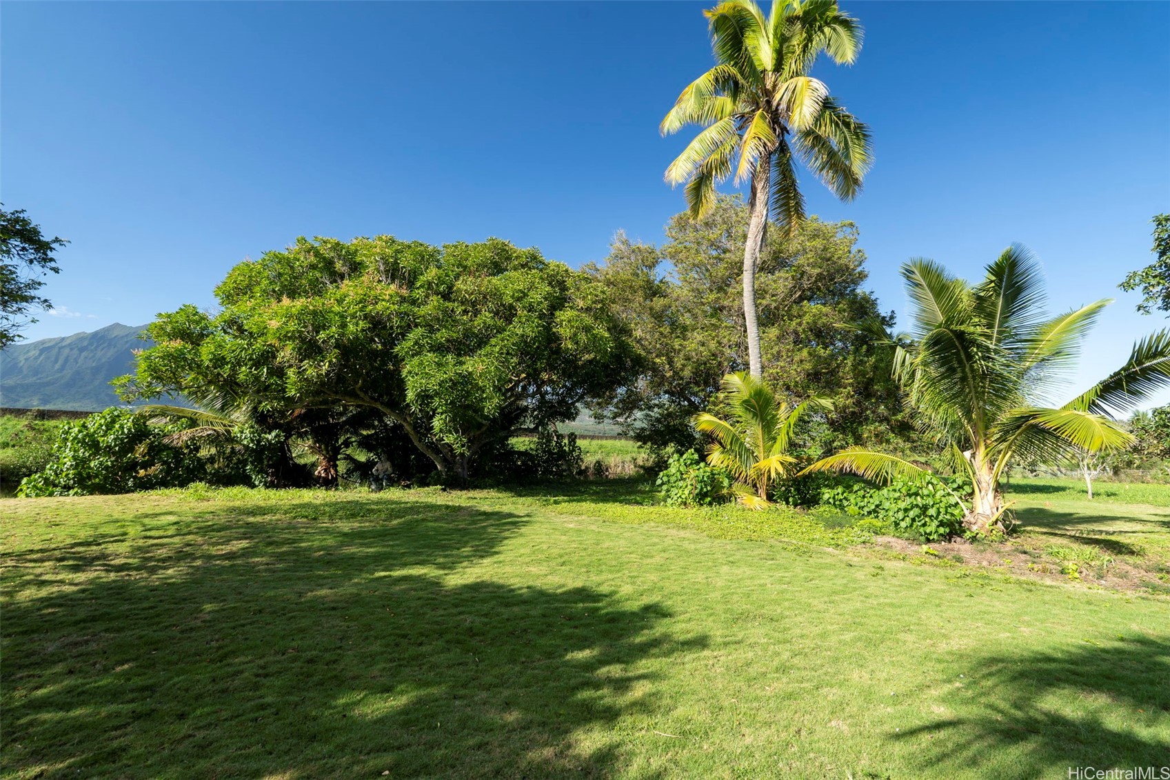 221 Kihapai Street 3