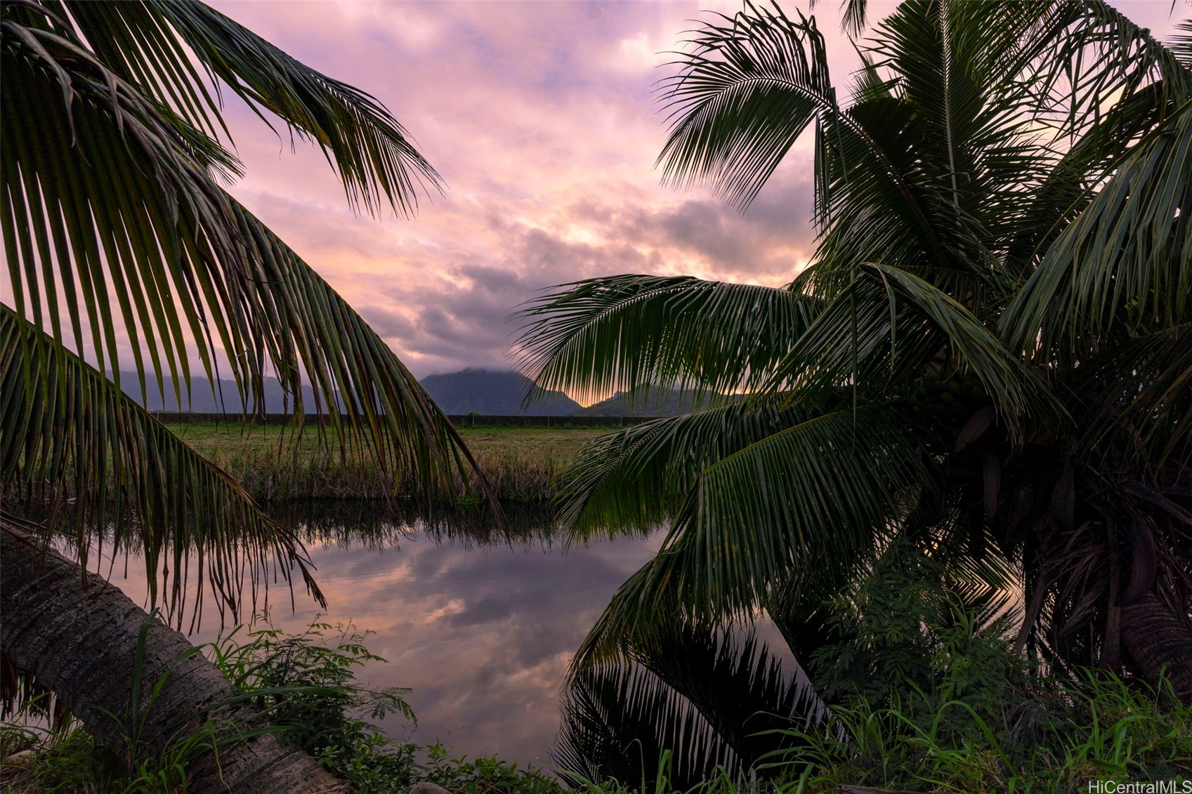 221 Kihapai Street 2