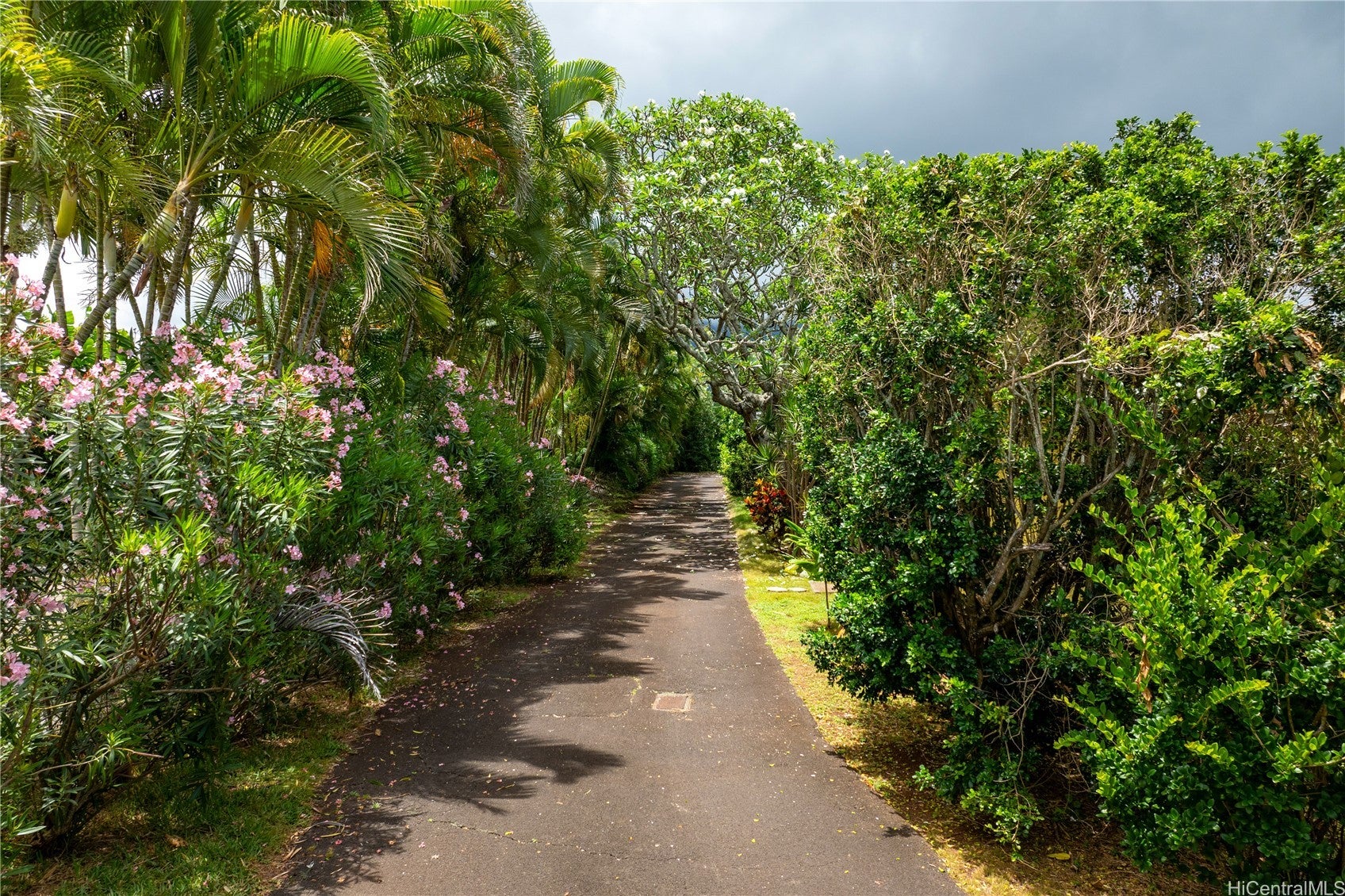 67-421 Waialua Beach Road