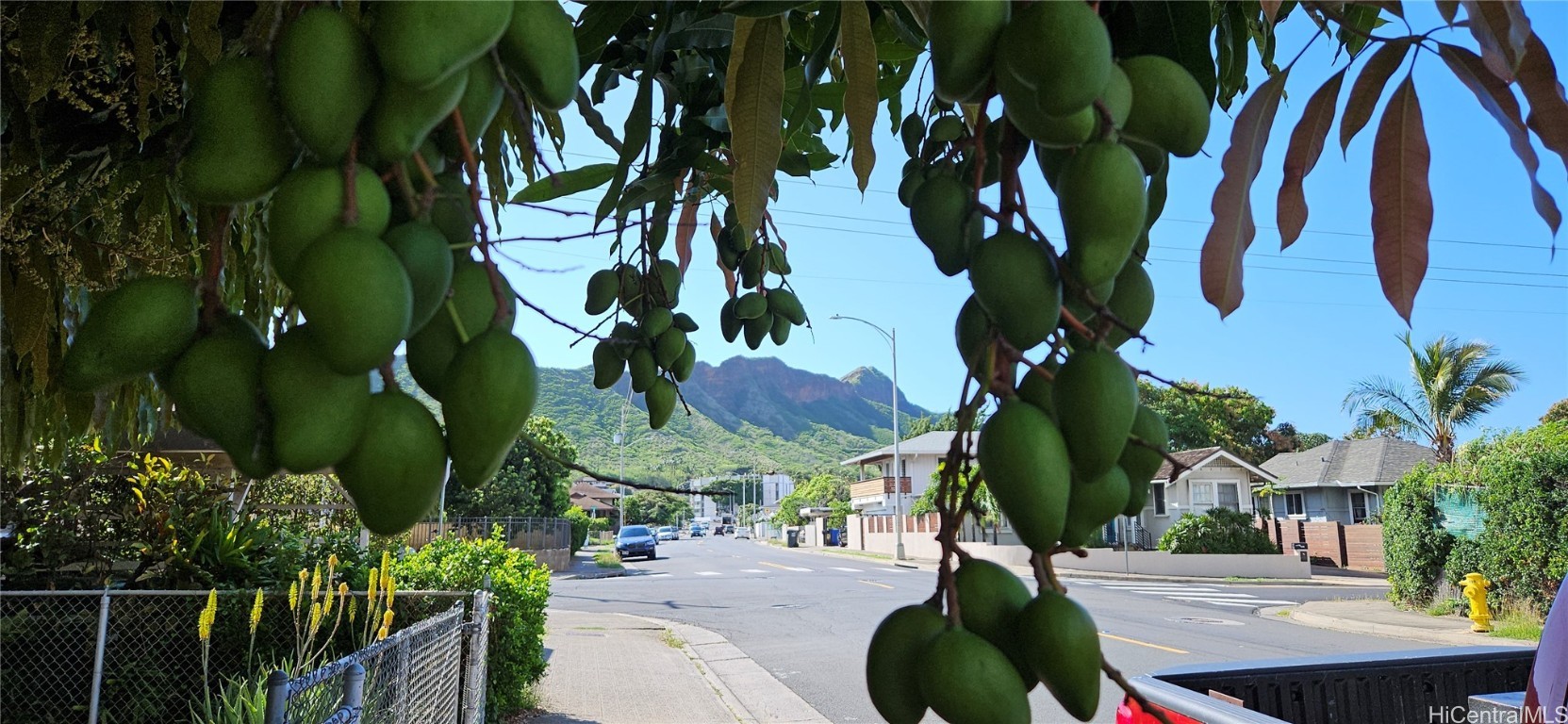 Honolulu Home Residence