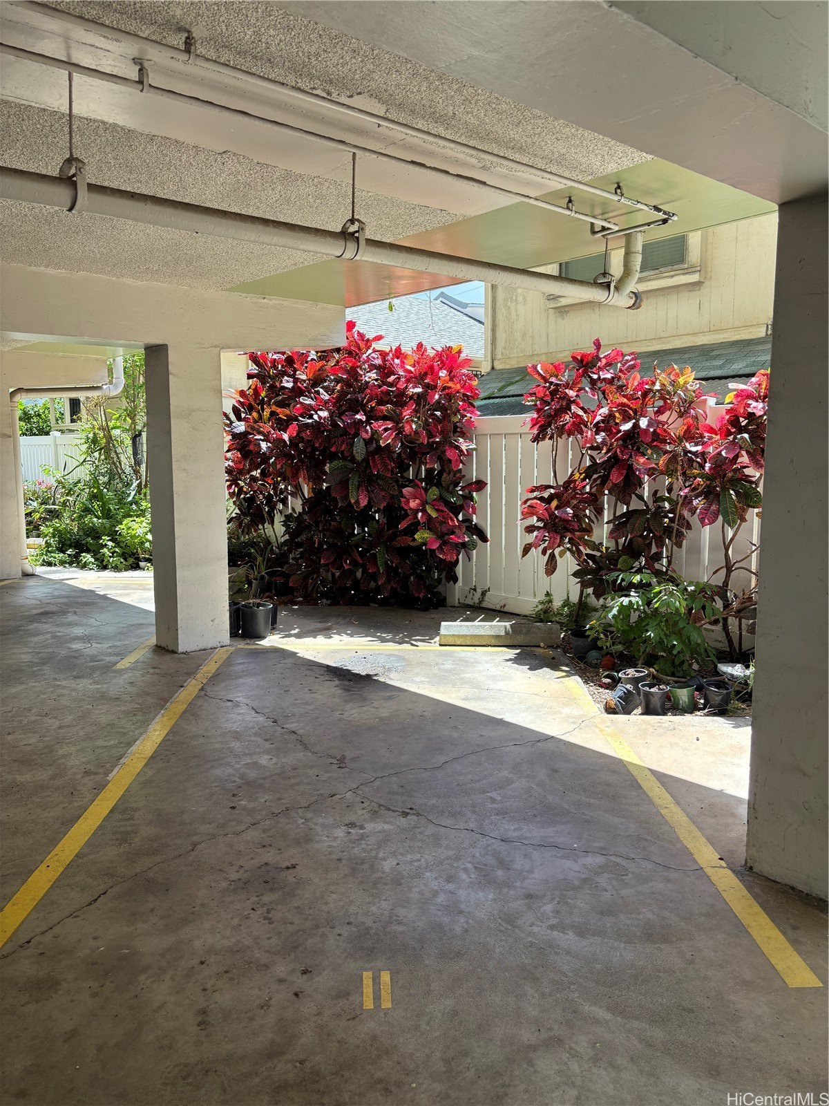 2120 Fern Street 303